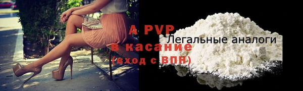прущие грибы Богородск