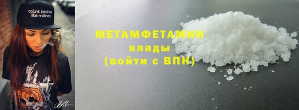 прущие грибы Богородск