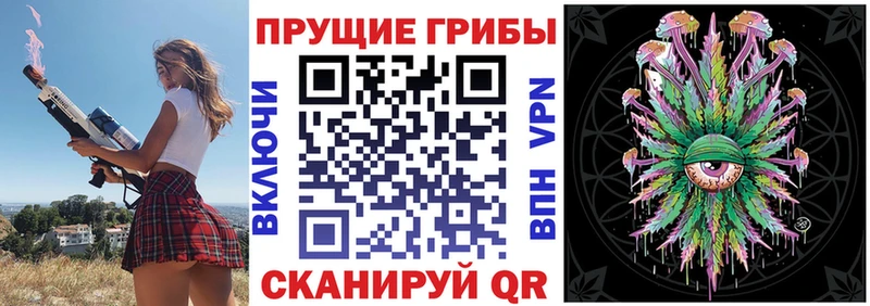 Купить закладки  Певек  Галлюциногенные грибы Magic Shrooms 